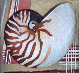 Nautilus 2